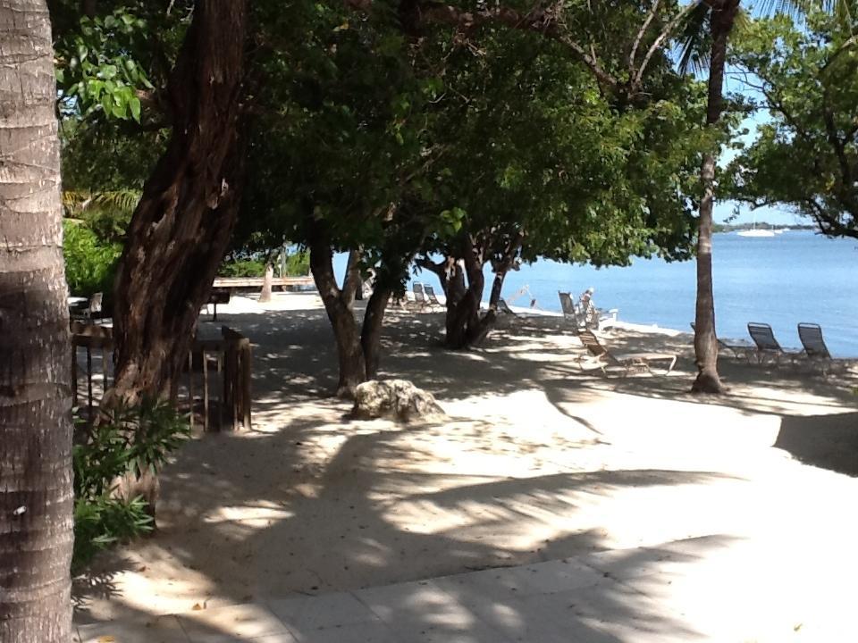Banana Bay Resort (Adults Only) Кі-Вест Екстер'єр фото