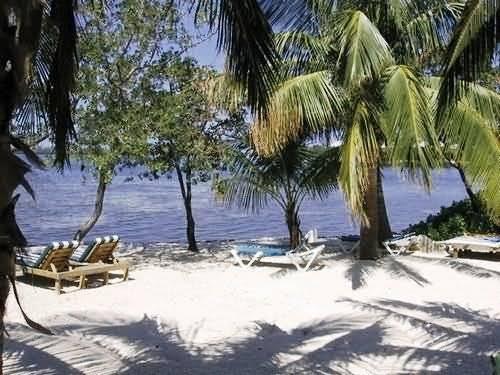 Banana Bay Resort (Adults Only) Кі-Вест Екстер'єр фото